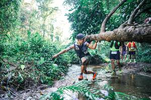 BIB: 
                            <button type="button" onclick="openModal(25441925)" class="btn btn-primary btn-sm float-right btn-popup" data-toggle="modal" data-target=".modal-high-quality">
                        <i class="fas fa-shopping-cart"></i> Add to Cart
                    </button>
                                            <button type="button" onclick="isThisMe(25441925, true)" class="btn btn-success btn-sm float-right btn-popup btn-isme hidden" data-toggle="tooltip" data-placement="bottom" title="นี่คือรูปของคุณใช่ไหม คลิกที่นี่เพื่อเอาเข้าอัลบั้ม">
                        <i class="fas fa-plus"></i> Add to album
                    </button>
                    <button type="button" onclick="isThisMe(25441925, false)" class="btn btn-warning btn-sm float-right btn-popup btn-isnotme hidden">
                        <i class="fas fa-ban"></i> Remove from album
                    </button>